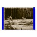 pathway to nature posters by dramaticlife pathway to nature posters