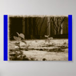 pathway to nature posters