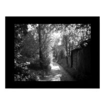 Pathway to Paradise posters