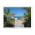 turks, cacios, islands, shell, ocean, water,