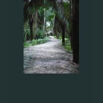 Pathway to the Yucatan t-shirts