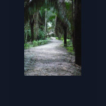 Pathway to the Yucatan t-shirts by iggymak Pathway to the Yucatan t-shirts