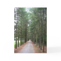 Pathways cards