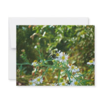 Patience invitations