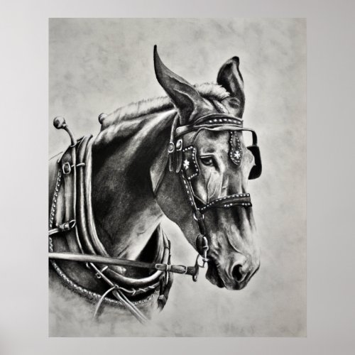 Patience-is-a-Virtue-Missouri-Mules-print