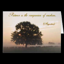 Patience is the companion of wisdom cards