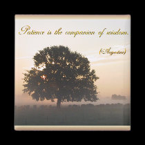 Patience is the companion of wisdom magnets