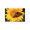 PATIENCE - Motivational BUTTERFLY Print w Quote by jesterbryanc PATIENCE - Motivational BUTTERFLY Print w Quote