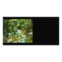 Patience photo cards