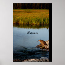 Patience posters