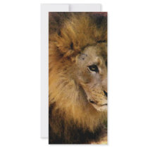 Patience_ rack cards by ELENNE Patience_ rack cards