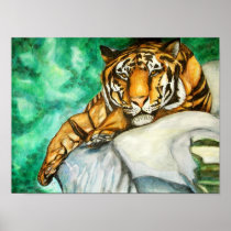 Patience (Tiger) Fine Art Prints
