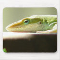 Patient Lizard Mousepad by KCsGallery Patient Lizard Mousepad