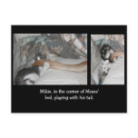 Patient Moses Post Cards