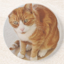 Patient Pumpkin. Beverage Coaster
