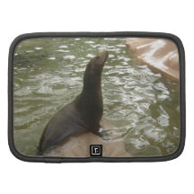 Patient Seal Folio Planner