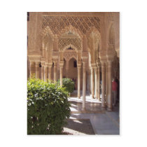Patio de los Leones postcards