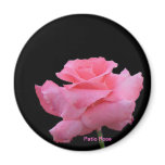 Patio Rose Magnet