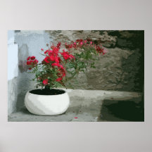 PATIO ROSE POSTER