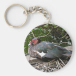 Pato de Muscovy Llavero