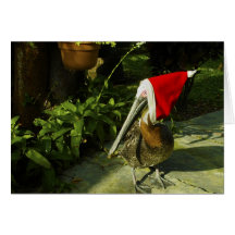 Pato the Pelican Holiday Card