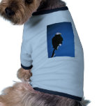 Patoga River National Wildlife Refuge Bald Eagle pet clothing