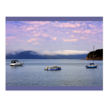 patonga mist 100 mm post cards
