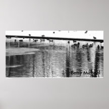 Patos de Betsy Michael Posters