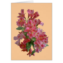 Patricia Lynn Alstroemeria Card