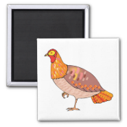 Patrick Pigeon.png Magnets