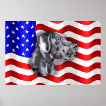 Patriot Dane Blue UC Poster