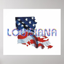 Patriota de Luisiana de la CAMISETA Poster