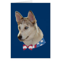 Patriotic Ausky Dog Cards