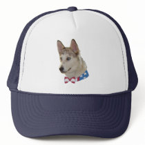 Patriotic Ausky Dog Mesh Hat
