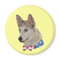 Patriotic Ausky Dog Fridge Magnets