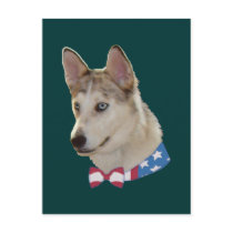 Patriotic Ausky Dog Post Cards