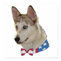 Patriotic Ausky Dog Poster
