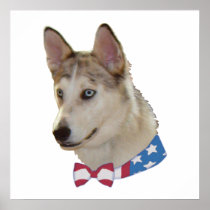 Patriotic Ausky Dog Poster