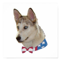 Patriotic Ausky Dog Posters
