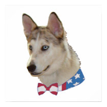 Patriotic Ausky Dog Posters