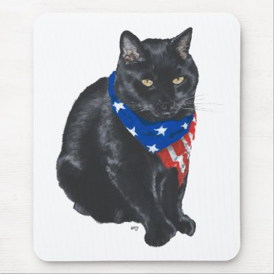 I Care Cat