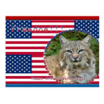 patriotic-bobcat-037 post card