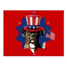 Patriotic Boxer Dog postcard
