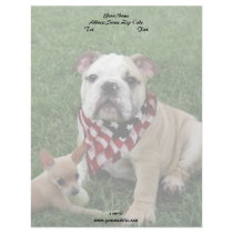 patriotic bulldog