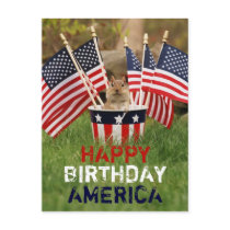 Patriotic Chipmunk Postcard