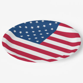 Patriotic Design 4th of July Party Paper Plates 9 Inch Paper Plate