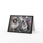 pug, pugs, boston, terrier, fun, parade, 4th, of,
