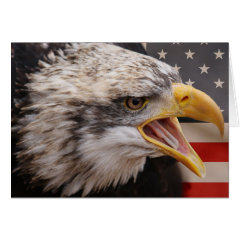 Patriotic Eagle Image Greeting Card