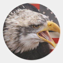 Patriotic Eagle Image Sticker