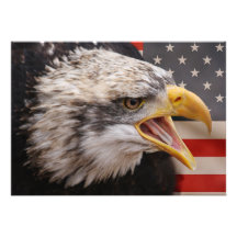 Patriotic Eagle Invitation